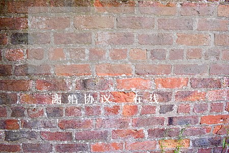 离婚协议 在线 离婚协议 在线
